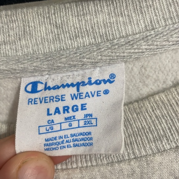 Babson Champion Hoodie - Picture 4 of 4